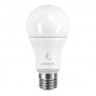 1-LED-465-D Лампа светодиодная диммированная 1-LED-465-D Лампа светодиодная диммированная