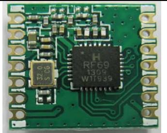 RFM69CW-433-S2 RFM69CW-433-S2